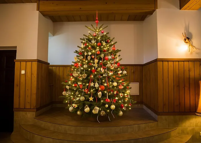 게스트하우스 Willa Suche 수헤