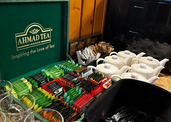 게스트하우스 Willa Suche 수헤